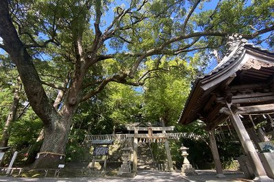 ⛩️ 고토노마마 하치만궁(코토노마마 하치만구) 이미지 2